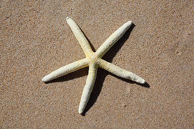 第一视角碟中谍！《使命召唤：黑色行动6》科隆展公开战役实机演示